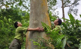 Thanh Hóa có thêm một Vườn quốc gia