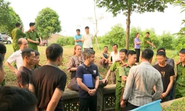 Xử lý nghiêm vụ lăng mộ vua Lê Túc Tông bị đào bới