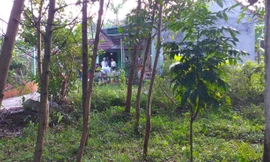  Cặp vợ chồng tử vong tại nhà riêng ở Thanh Hóa