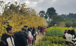 Thanh Hoá: Các danh thắng thu hút du khách ngày đầu năm