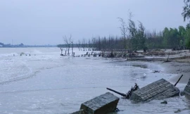 Vùng ven biển huyện Hoằng Hoá (Thanh Hoá)