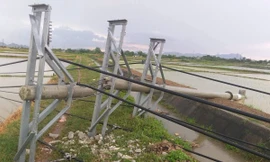 Một người tử vong, hàng loạt cột điện đổ gãy do giông, sét ở Thanh Hóa