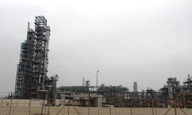 Nhiều doanh nghiệp, nhà máy tại Khu Kinh tế Nghi Sơn không nghỉ Tết