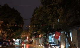 Mưa lớn, lá rụng ngập đường tại TP Thanh Hoá