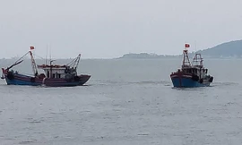 Bắt quả tang vụ bơm hút xăng 'lậu' từ tàu lên xe bồn tại cảng cá ở Thanh Hóa 