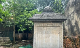 Hai bia đá cổ trên 300 năm bị dùng để làm tường rào ở Thanh Hoá