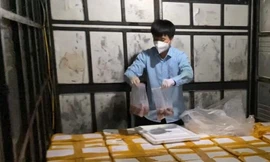 Phát hiện xe tải vận chuyển gần 2 tấn cá khoai ướp phoóc môn