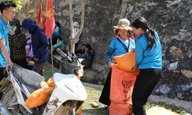Cấp phát gạo cho người bảo vệ, trồng rừng 