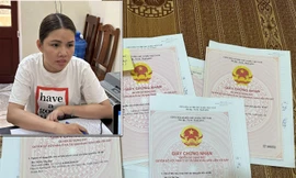 Nữ cán bộ làm giả sổ đỏ để chiếm đoạt 10 tỷ đồng