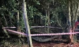 Hiện trường vụ em chém anh tử vong xảy ra tại huyện Thạch Thành (Thanh Hoá) hồi tháng 4/2023. Ảnh: Minh hoạ.