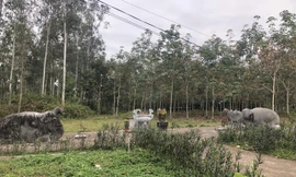 Hội thảo khoa học về các vị vua, công thần thời đầu Lê Trung Hưng