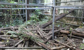 Phương án xử lý di tích "Hoa thương hội quán" hoang tàn giữa trung tâm TP Thanh Hoá