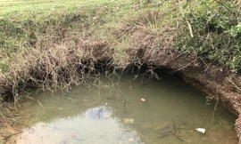 Phát hiện nhiều đồng tiền cổ ở giếng Mắt Rồng 