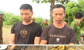 Diễn biến mới vụ mộ vua Lê Túc Tông ở Thanh Hóa bị đào bới