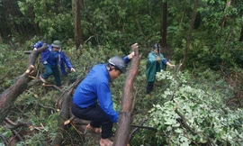 Tuổi trẻ Thanh Hóa tiếp tục nhiều hoạt động hỗ trợ dự án đường dây 500kV mạch 3