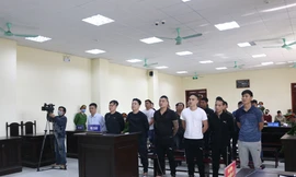 Giám đốc tập đoàn 'tín dụng đen' bị tuyên hơn 10 năm tù, nộp hàng chục tỷ đồng