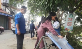 Cá chép 'trượt băng' ngày ông Công ông Táo