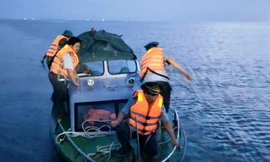 Hàng trăm tàu cá ở Thanh Hóa quá hạn đăng kiểm