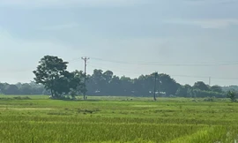 Khu đất triển khai dự án. Ảnh minh hoạ