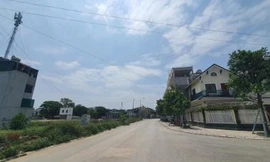 Thanh Hoá: Yêu cầu doanh nghiệp dừng chuyển nhượng QSD đất do vi phạm xây dựng hàng loạt