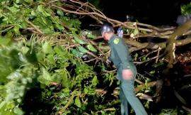 Tông vào cây gãy đổ chắn ngang đường ở Thanh Hóa, nam thanh niên tử vong