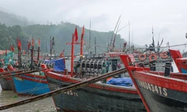 Thanh Hoá: Chủ động sơ tán dân, ứng phó bão số 1