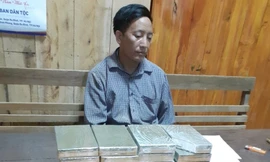 Đối tượng và tang vật