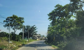 Khu vực xã Thành Sơn, huyện Bá Thước, Thanh Hoá