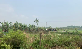 Phát hiện 2 nam thanh niên tử vong bên bờ ao ở Thanh Hóa