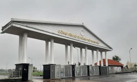 Gần 550 cây xanh ở công viên bị úng nước chết: Thiết kế thoát nước như thế nào?