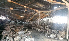 Kết quả giám định nguyên nhân vụ cháy 339 xe tại Trường Đại học Hồng Đức