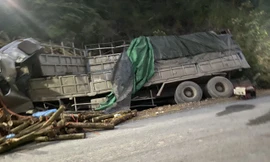 Danh tính 7 nạn nhân tử vong trong vụ xe chở gỗ lật ở Thanh Hoá