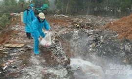 Phát hiện ổ dịch lở mồm long móng ở Thanh Hóa, lập 2 chốt kiểm soát