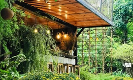 Hẹn hò cuối tuần: Phải lòng những tiệm cà phê mang hơi thở Đà Lạt đẹp quên lối về