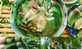 Top các món canh chua ba miền: Liệu pháp hạ nhiệt thuộc hàng "vơ-đét" trên mâm cơm mùa Hè