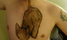 Bộ lông ngực hình con mèo