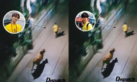 Nguyên dàn idol bị bò đuổi, thực hư meme "tấu hài" đang viral khắp fandom K-Pop này là gì?