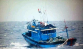 Biển động mạnh, nhiều tàu gặp nạn