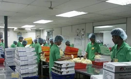 Nhiều cơ hội làm việc ở nước ngoài