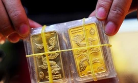 Được khuyên ngừng đấu thầu vàng, Ngân hàng Nhà nước nói gì?