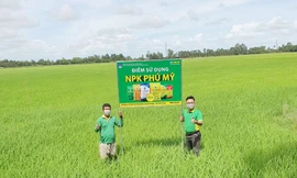 PVFCCo thường xuyên xây dựng các mô hình hướng dẫn bà con nông dân sử dụng phân bón an toàn, cân đối, hiệu quả