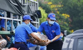 Phong trào “Thanh niên tình nguyện” có bước phát triển cả về chất lượng và số lượng, đặc biệt là trong hỗ trợ phòng, chống dịch COVID-19 thời gian qua. 