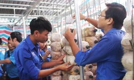 Thanh niên đang rất cần hỗ trợ nguồn vốn để phát triển kinh tế ở các địa phương.