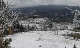 Băng giá, tuyết rơi đã xuất hiện ở nhiều khu vực tại thị xã Sa Pa, huyện Bát Xát (Lào Cai) trong vài ngày qua.