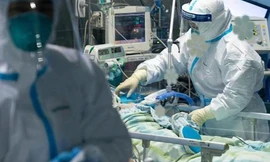 Ảnh minh họa: Internet