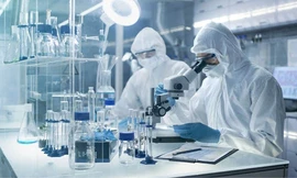 Ảnh minh họa: Internet