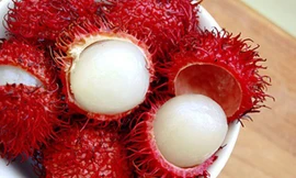 Ảnh minh họa: Internet