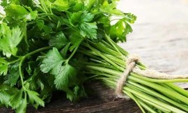 Ảnh minh họa: Internet