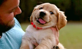 Ảnh minh họa: Internet