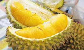 Ảnh minh họa: Internet